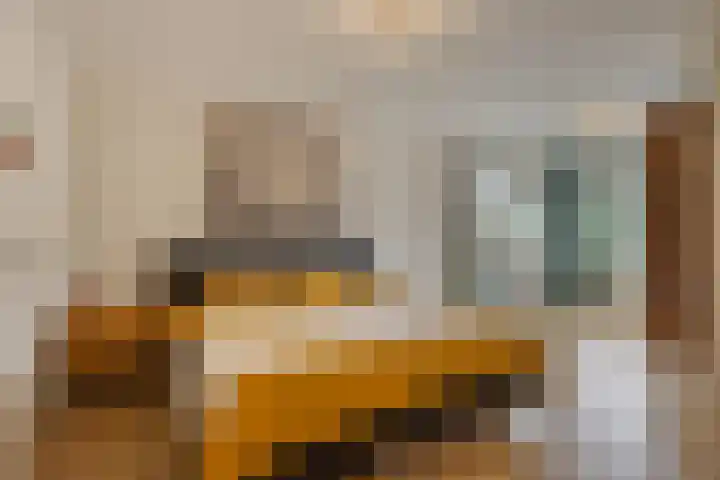 Raadhuisstraat 56 Waalre thumbnail 25