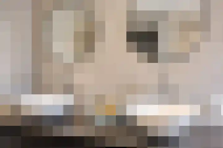 Raadhuisstraat 56 Waalre thumbnail 30