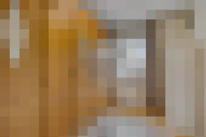 Raadhuisstraat 56 Waalre thumbnail 31