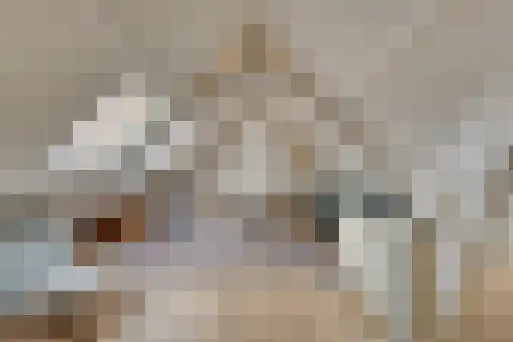 Raadhuisstraat 56 Waalre thumbnail 34