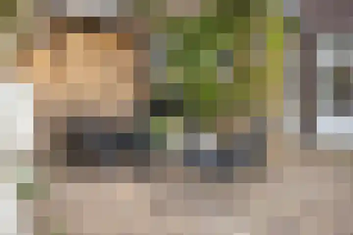 Raadhuisstraat 56 Waalre thumbnail 35