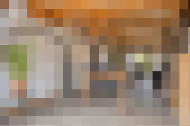Raadhuisstraat 56 Waalre thumbnail 36
