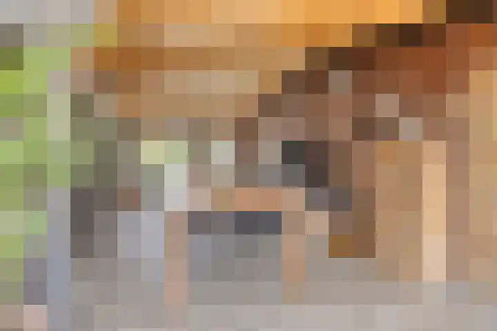 Raadhuisstraat 56 Waalre thumbnail 37