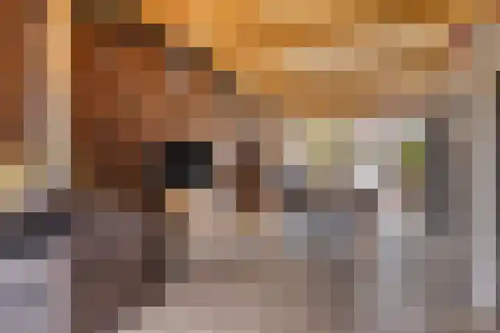 Raadhuisstraat 56 Waalre thumbnail 38