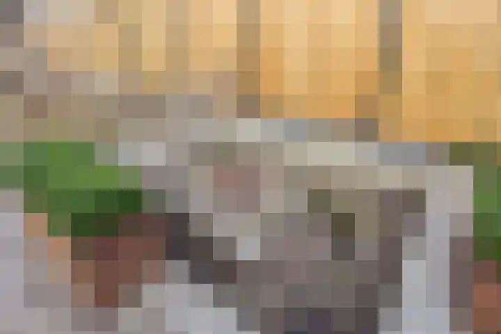 Raadhuisstraat 56 Waalre thumbnail 39