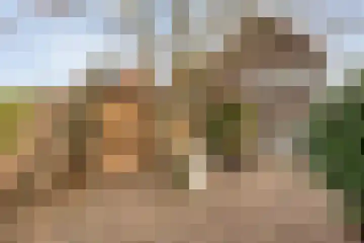 Raadhuisstraat 56 Waalre thumbnail 42