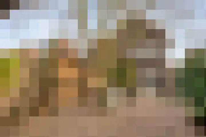 Raadhuisstraat 56 Waalre thumbnail 43