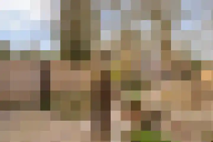 Raadhuisstraat 56 Waalre thumbnail 45