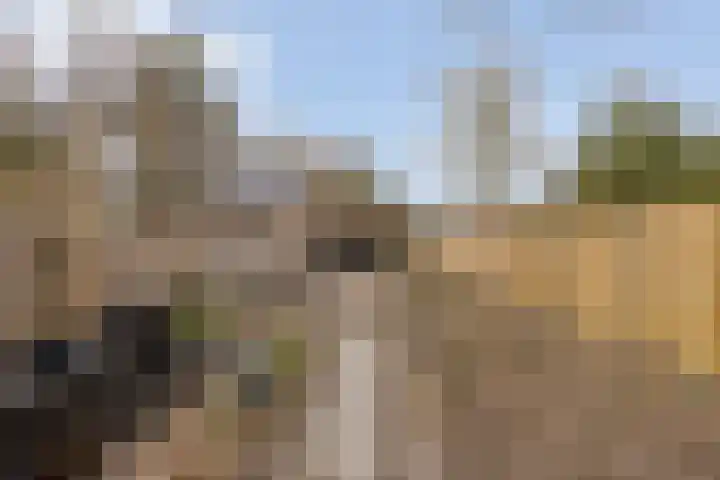 Raadhuisstraat 56 Waalre thumbnail 47