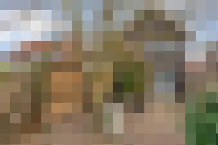 Raadhuisstraat 56 Waalre thumbnail 50