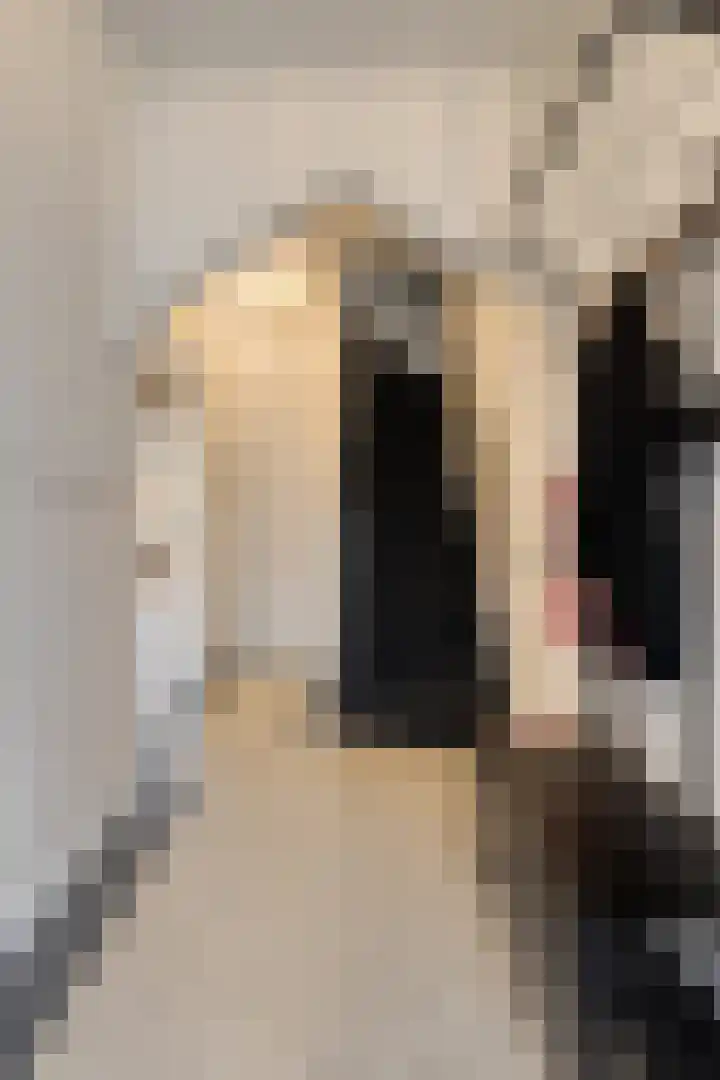 Raadhuisstraat 56 Waalre thumbnail 6