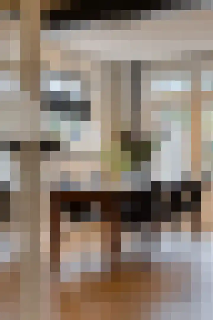 Raadhuisstraat 56 Waalre thumbnail 7