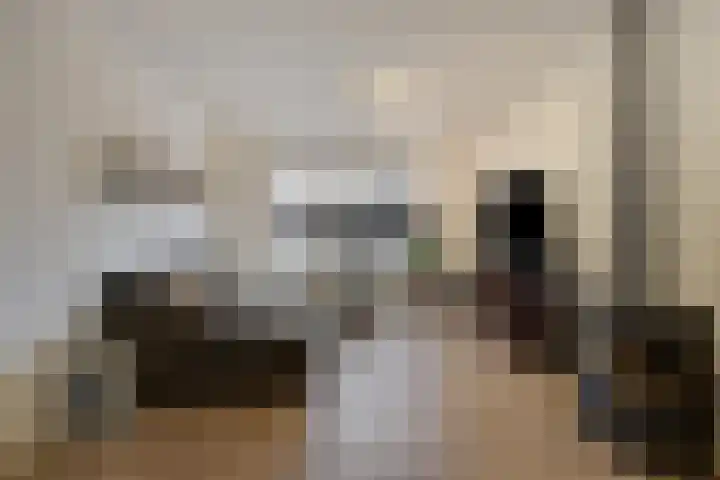 Raadhuisstraat 56 Waalre thumbnail 8