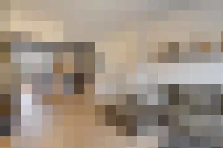 Raadhuisstraat 56 Waalre thumbnail 9