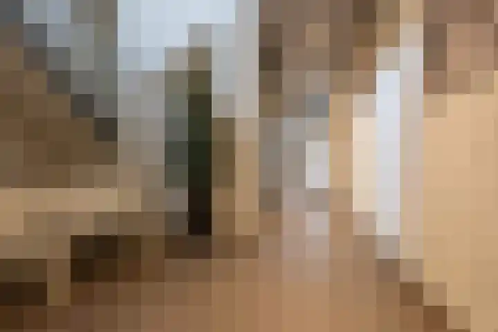 Raadhuisstraat 57 Beverwijk thumbnail 36
