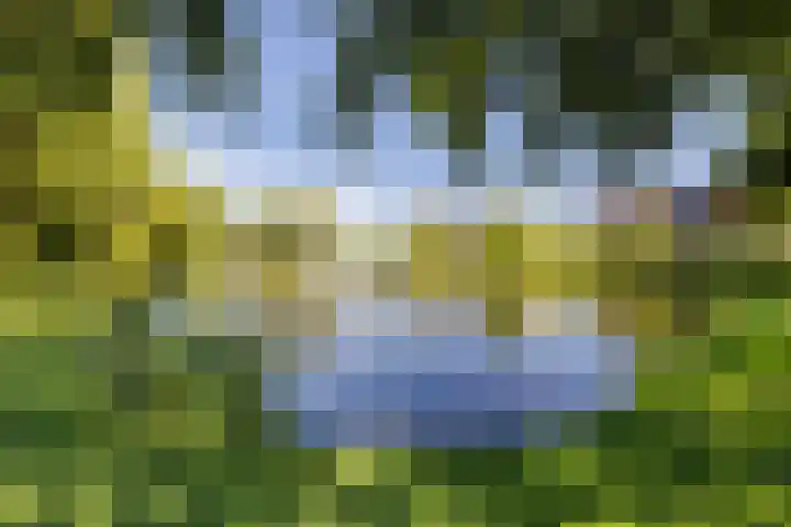 Raadhuisstraat 57 Beverwijk thumbnail 47