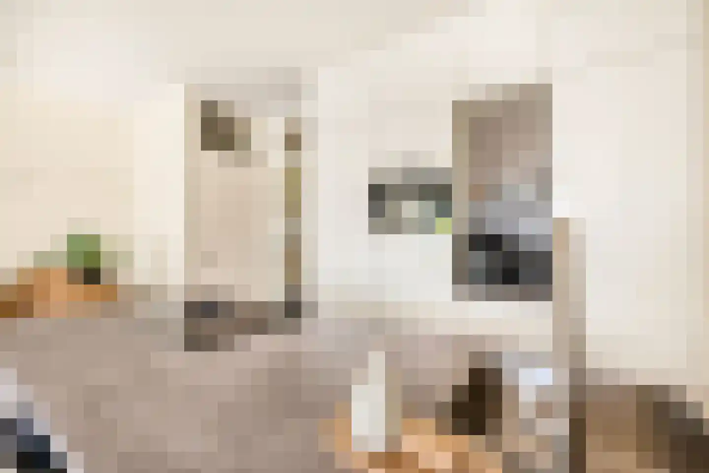 Raadhuisstraat 57 D Heemstede thumbnail 22