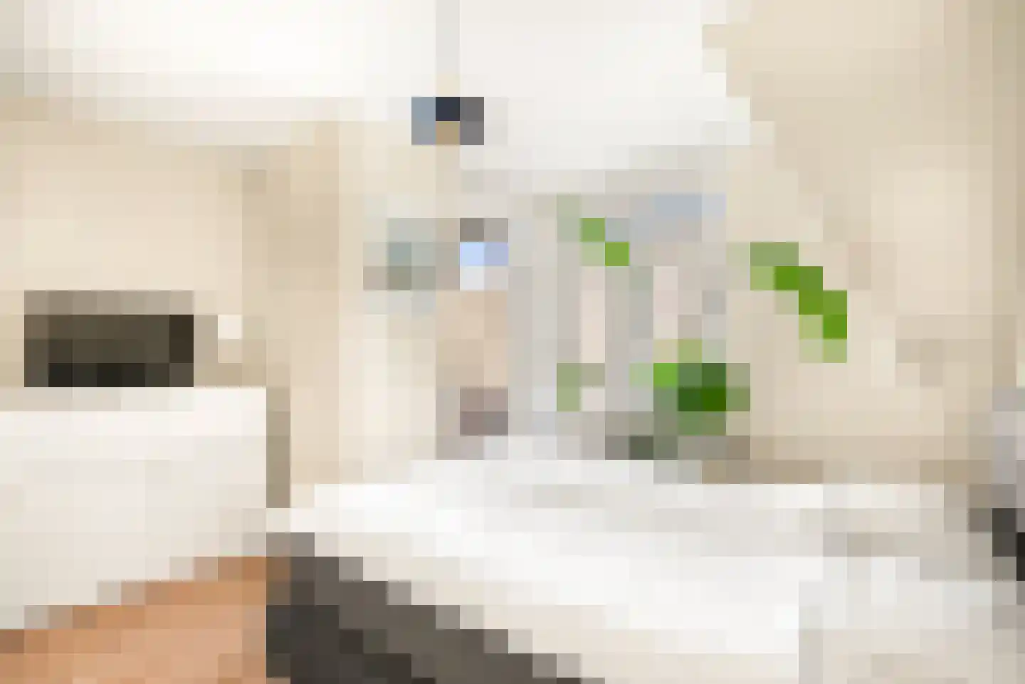 Raadhuisstraat 57 D Heemstede thumbnail 37