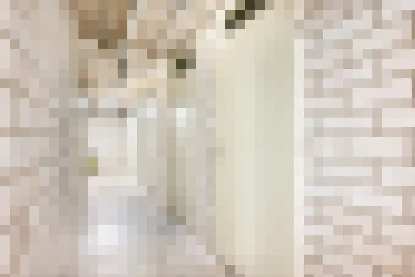 Raadhuisstraat 57 D Heemstede thumbnail 47