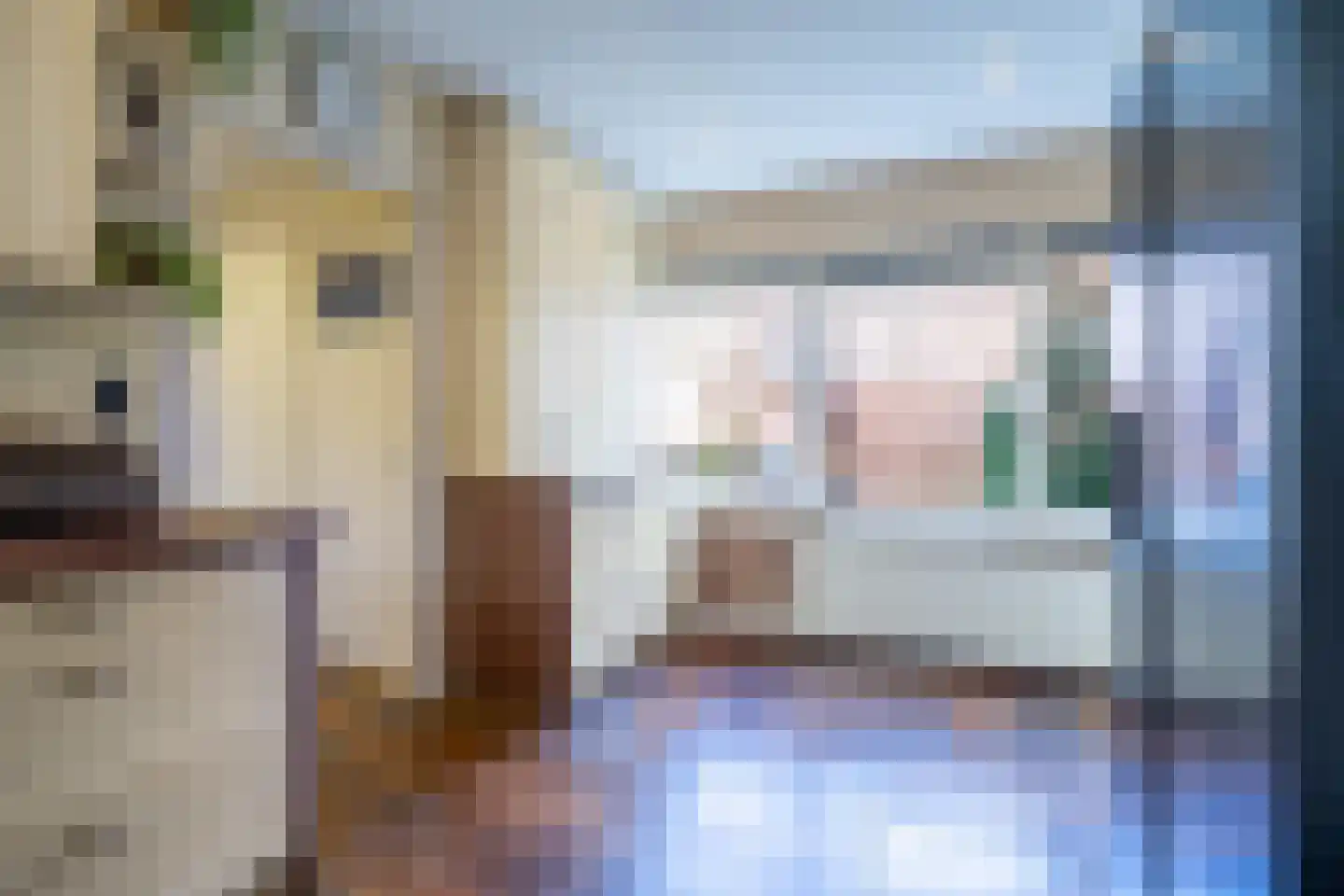 Raadhuisstraat 57 Rucphen thumbnail 10