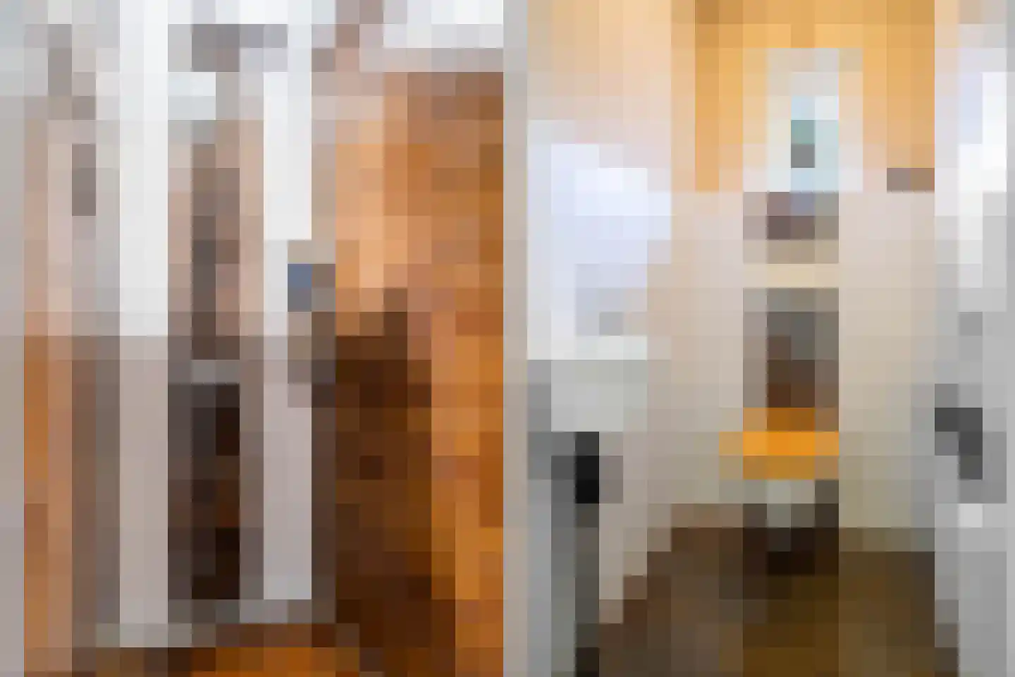 Raadhuisstraat 57 Rucphen thumbnail 18