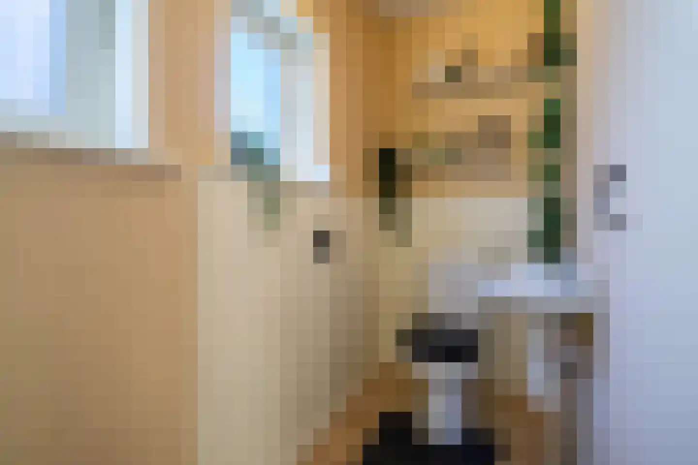 Raadhuisstraat 57 Rucphen thumbnail 25