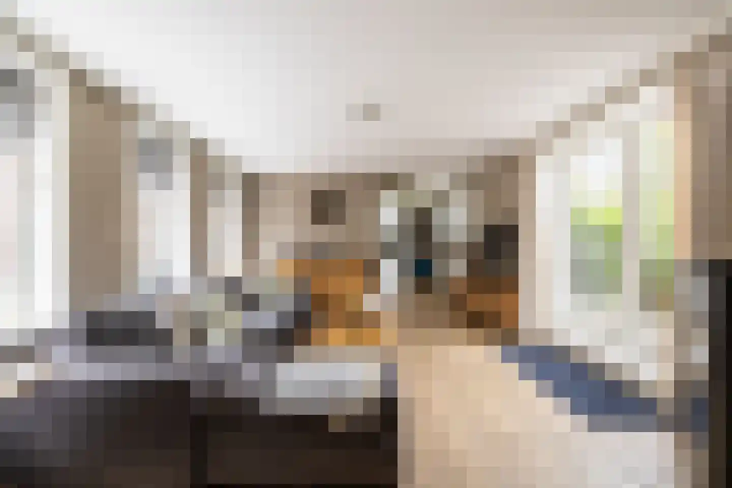 Raadhuisstraat 58 Oosthuizen thumbnail 15