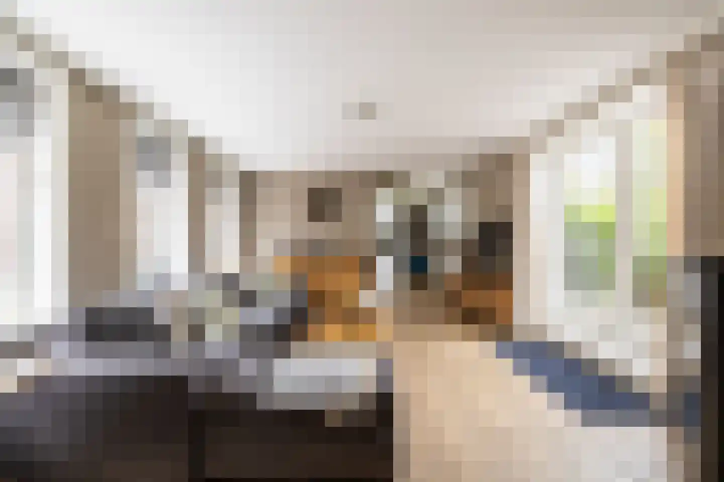 Raadhuisstraat 58 Oosthuizen thumbnail 15