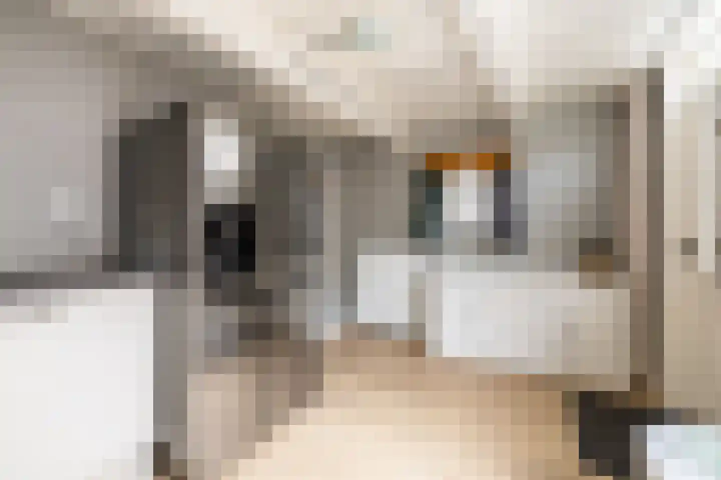Raadhuisstraat 58 Oosthuizen thumbnail 24