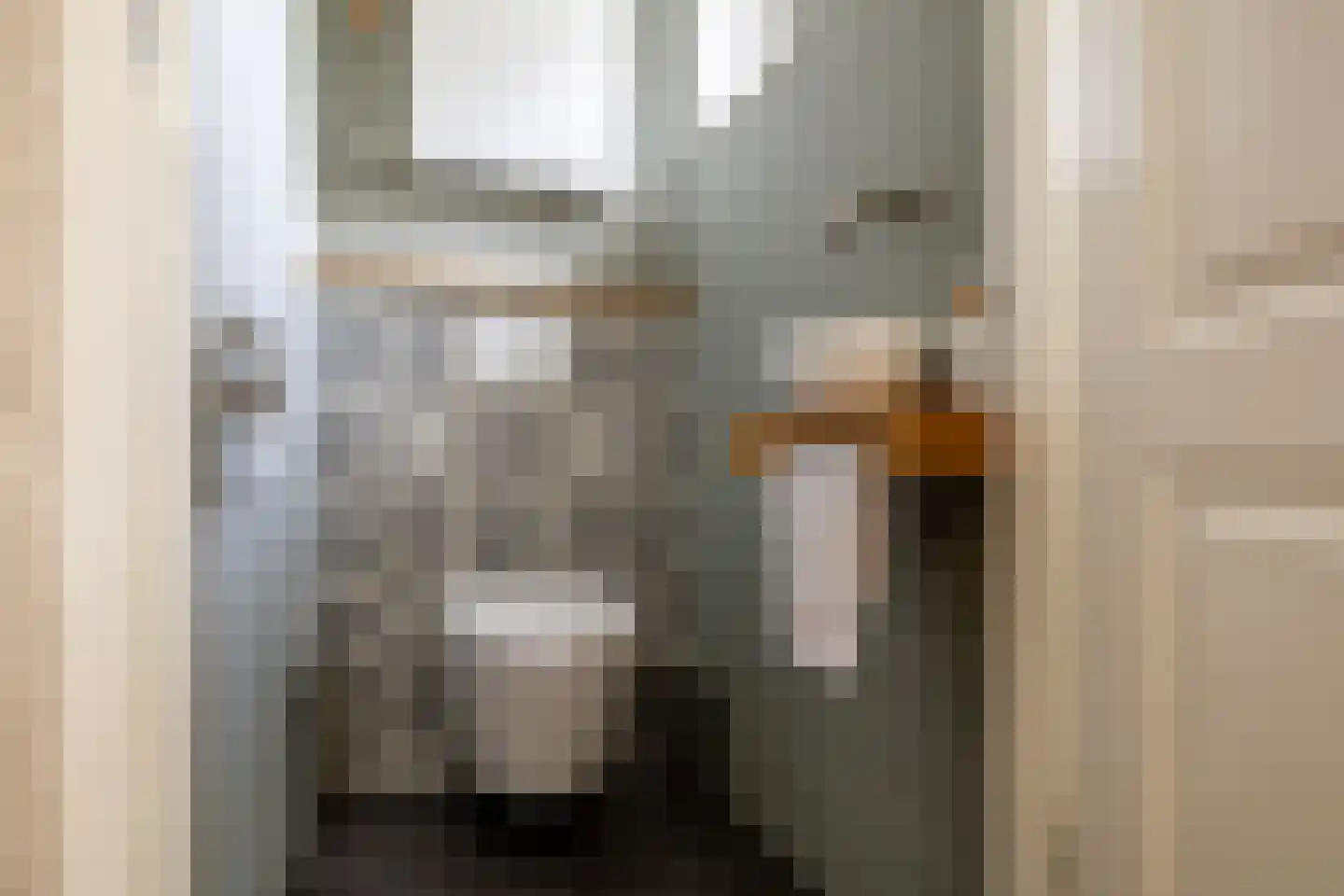Raadhuisstraat 58 Oosthuizen thumbnail 27