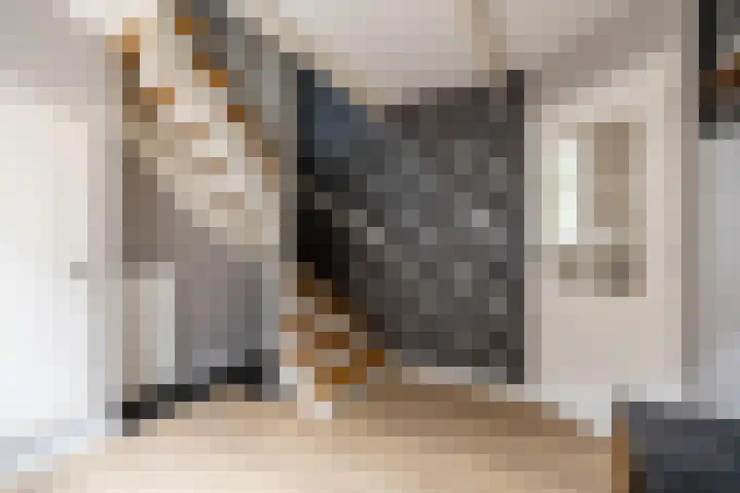 Raadhuisstraat 58 Oosthuizen thumbnail 28
