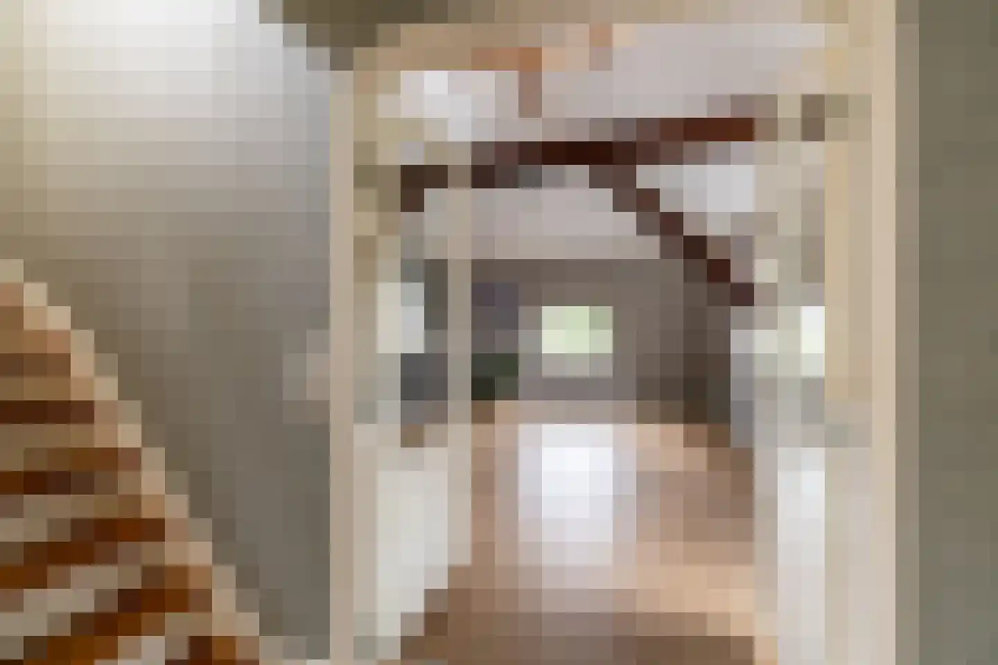 Raadhuisstraat 58 Oosthuizen thumbnail 33