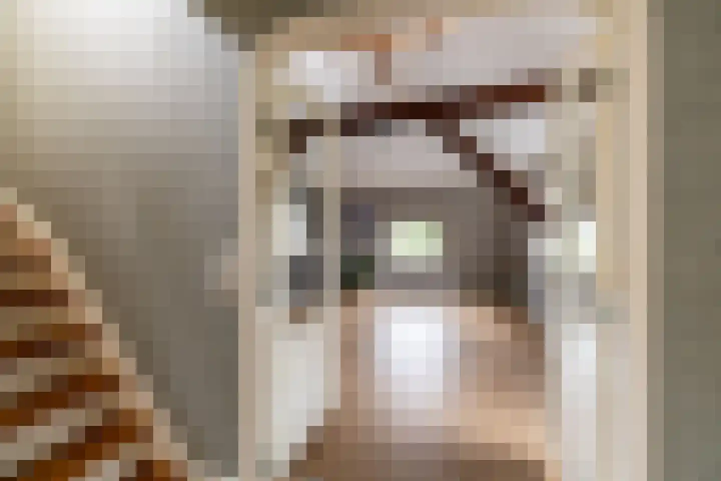 Raadhuisstraat 58 Oosthuizen thumbnail 33