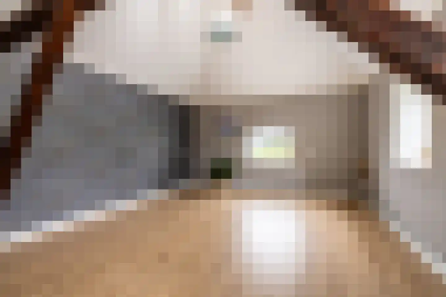 Raadhuisstraat 58 Oosthuizen thumbnail 34