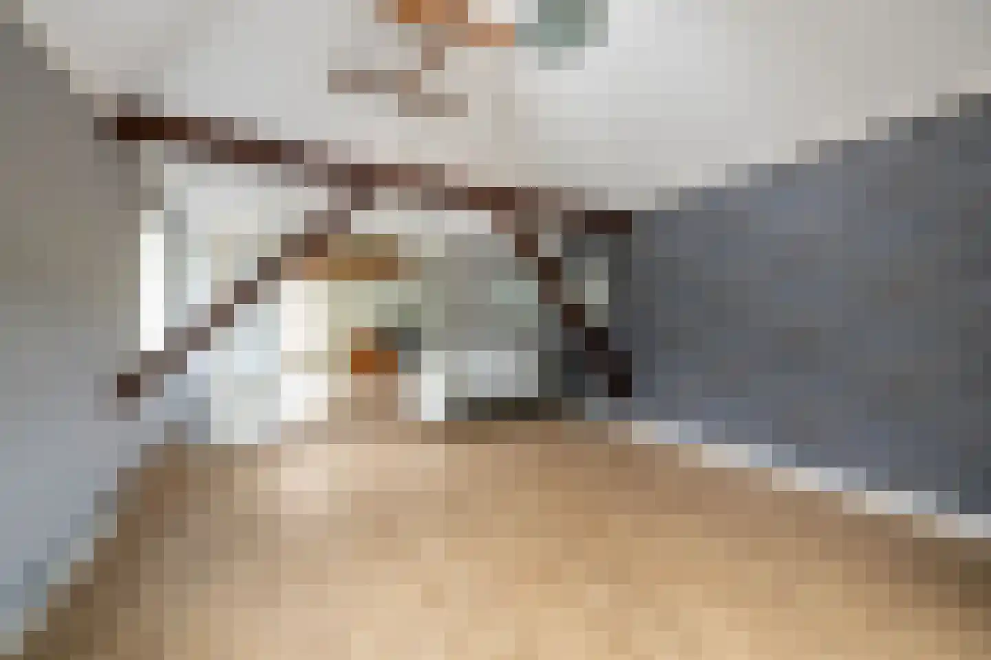 Raadhuisstraat 58 Oosthuizen thumbnail 35