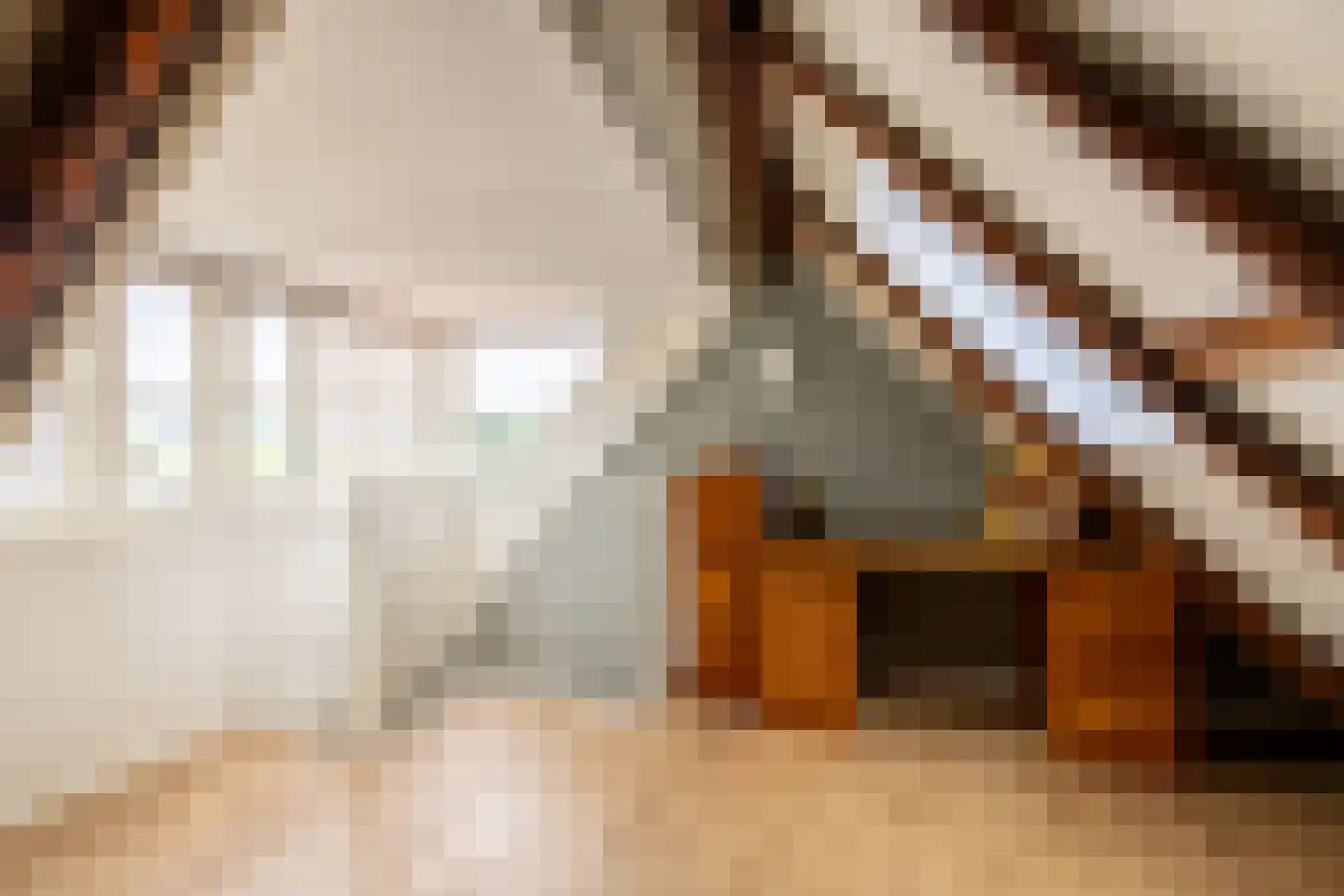 Raadhuisstraat 58 Oosthuizen thumbnail 38