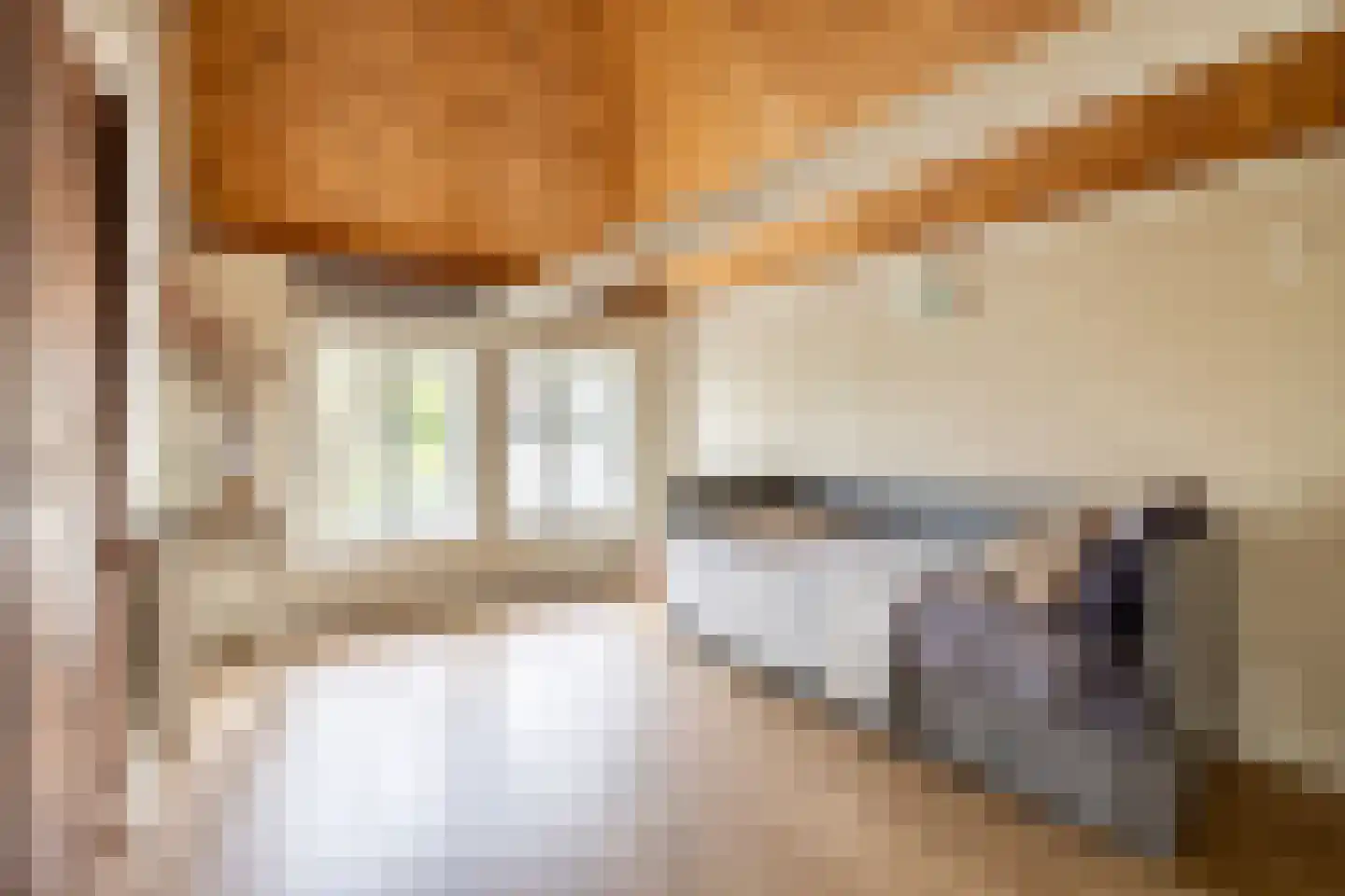 Raadhuisstraat 58 Oosthuizen thumbnail 43
