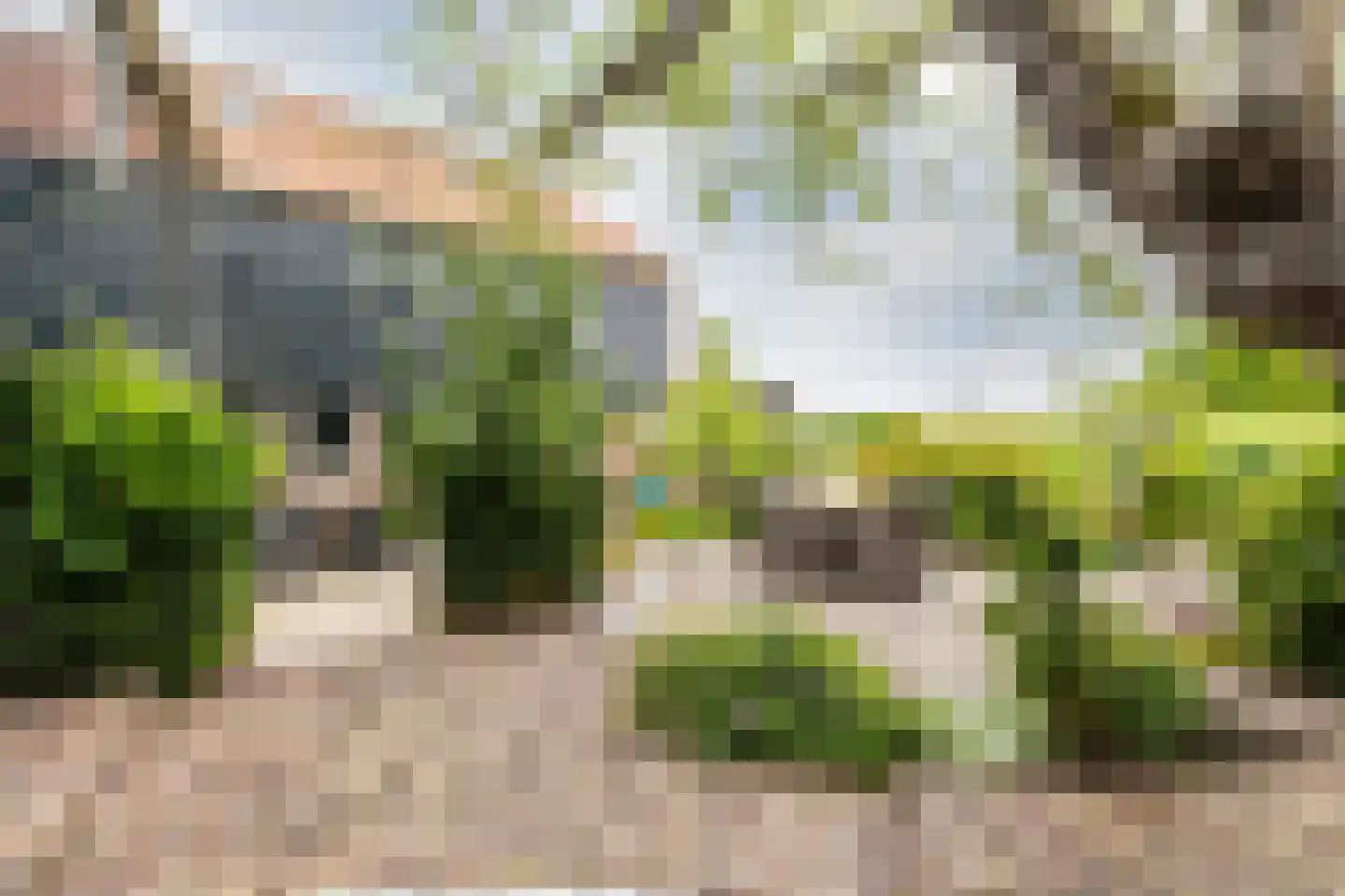 Raadhuisstraat 58 Oosthuizen thumbnail 52