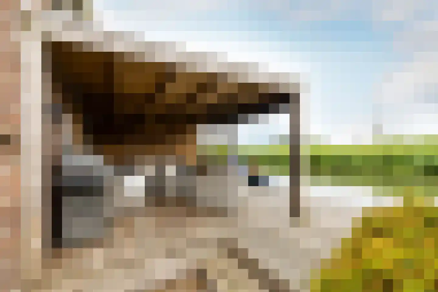 Raadhuisstraat 58 Oosthuizen thumbnail 55