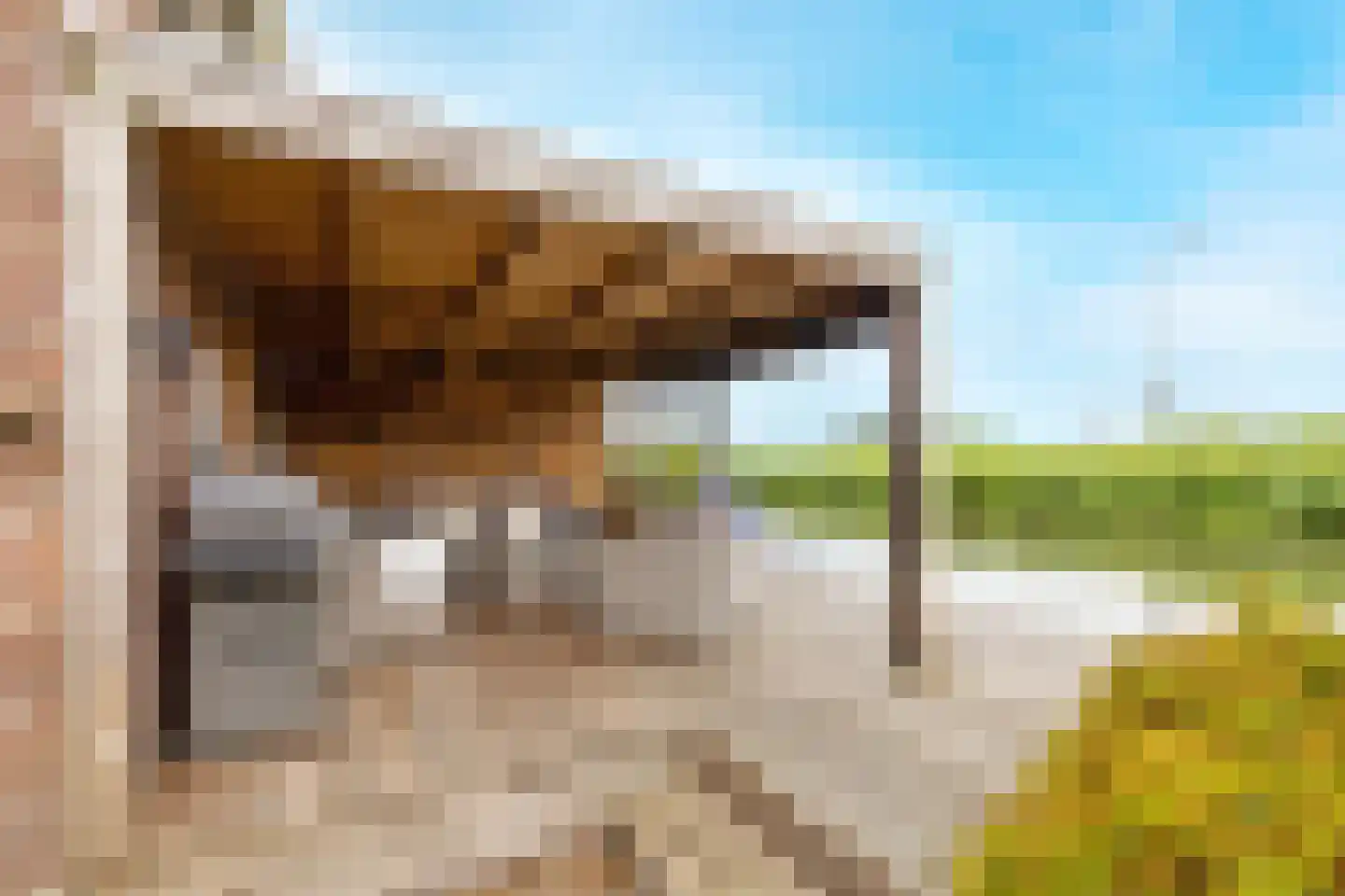 Raadhuisstraat 58 Oosthuizen thumbnail 57