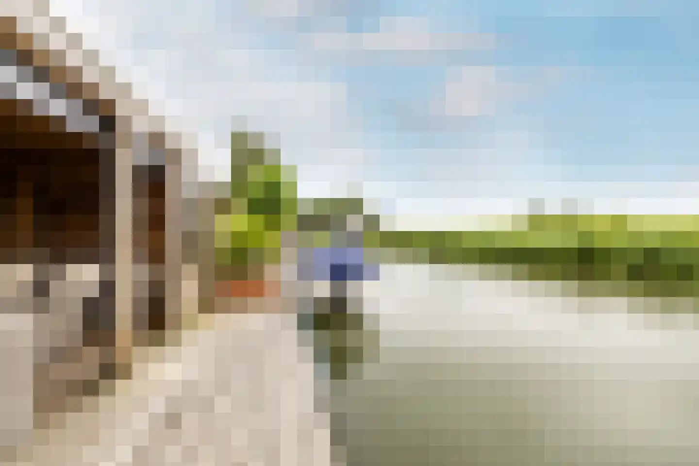 Raadhuisstraat 58 Oosthuizen thumbnail 57