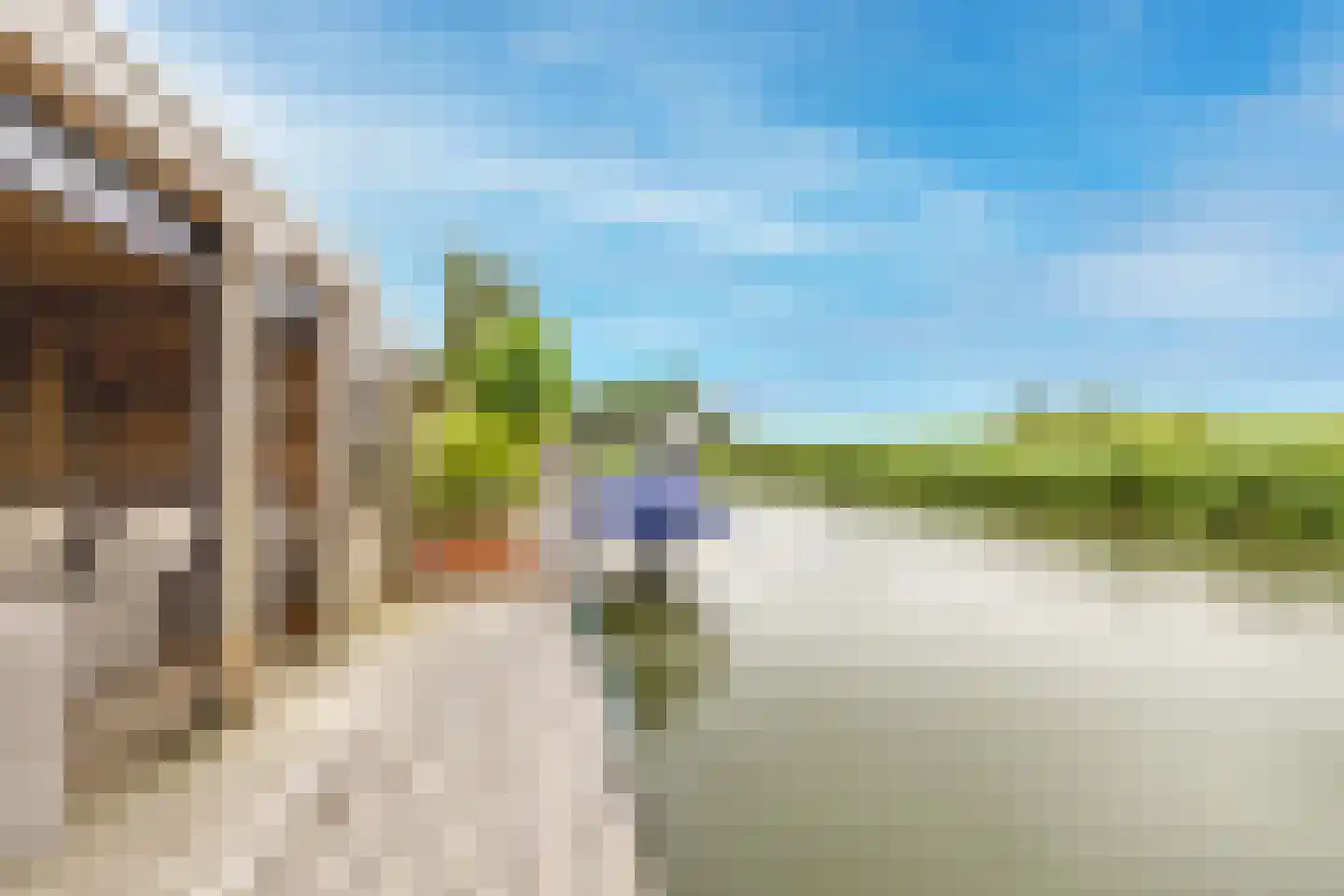 Raadhuisstraat 58 Oosthuizen thumbnail 59