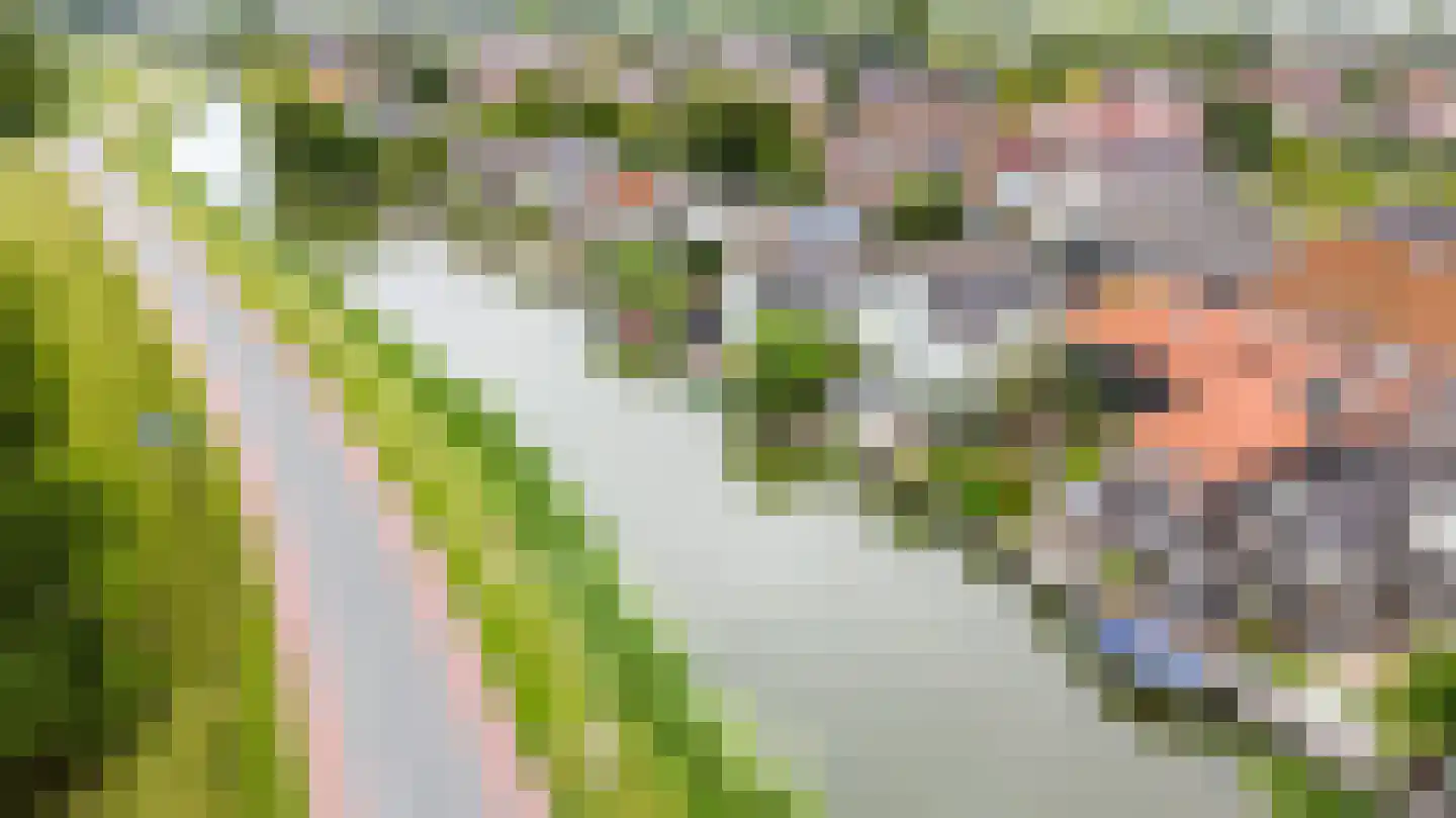 Raadhuisstraat 58 Oosthuizen thumbnail 61