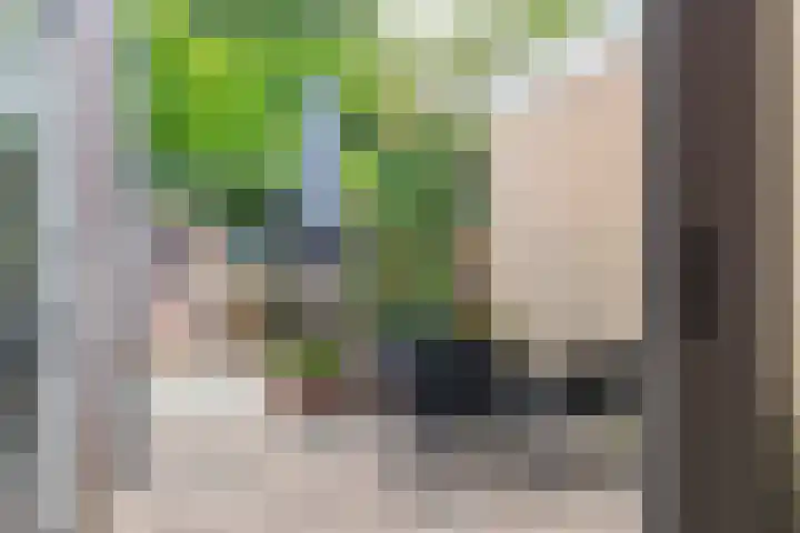 Raadhuisstraat 59 Balk thumbnail 23