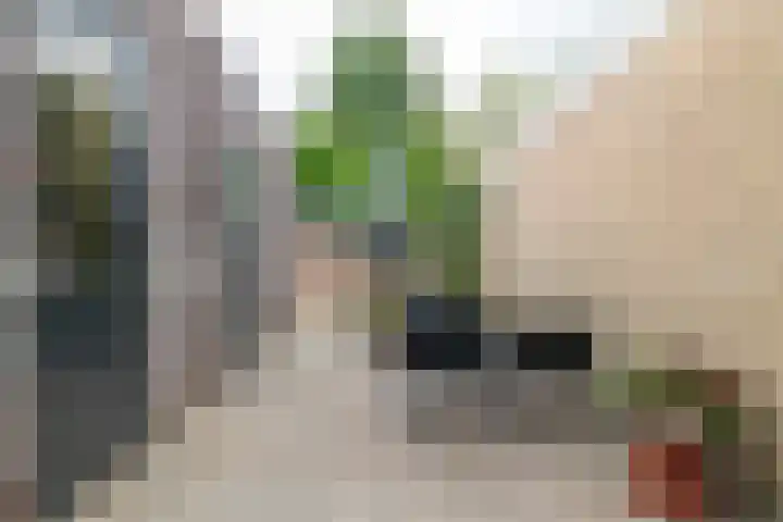 Raadhuisstraat 59 Balk thumbnail 24