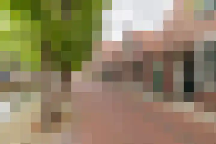 Raadhuisstraat 59 Balk thumbnail 29