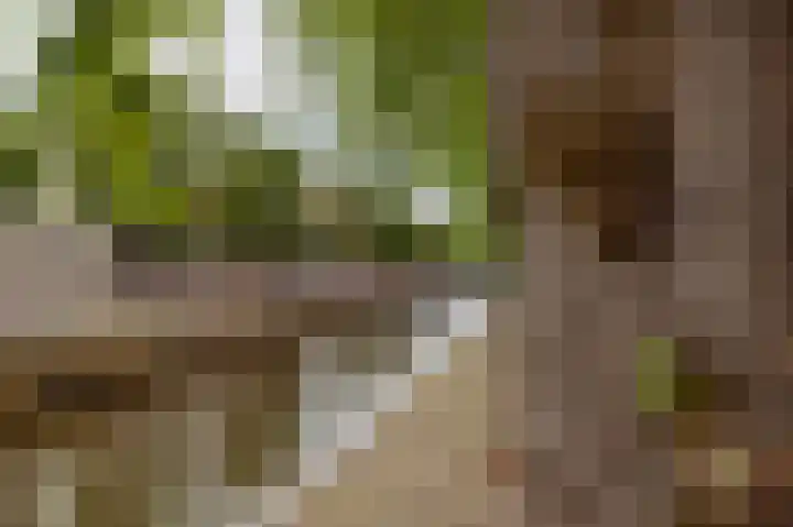 Raadhuisstraat 59 Balk thumbnail 30