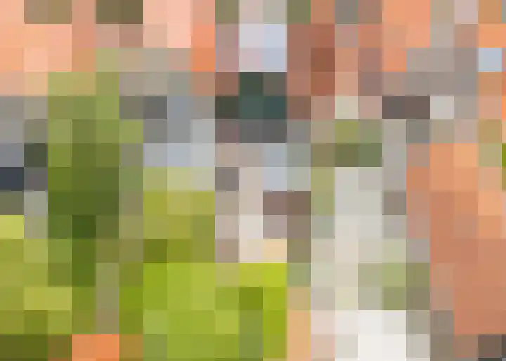 Raadhuisstraat 59 Balk thumbnail 33