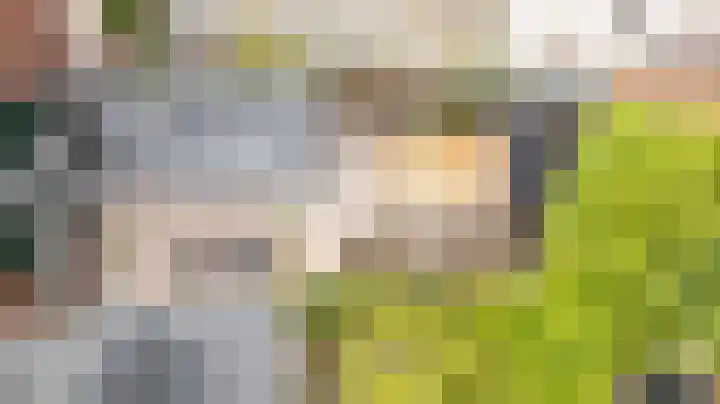 Raadhuisstraat 59 Balk thumbnail 34