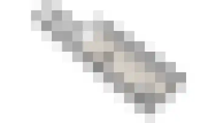 Raadhuisstraat 59 Balk thumbnail 38